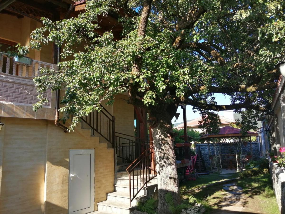 Dariya Guest House Sapareva Banja Exteriér fotografie