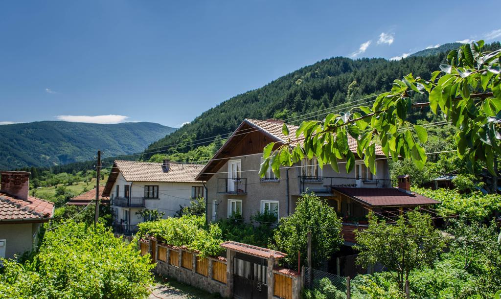 Dariya Guest House Sapareva Banja Exteriér fotografie