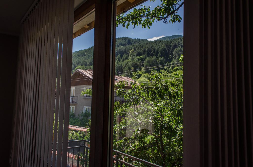 Dariya Guest House Sapareva Banja Pokoj fotografie